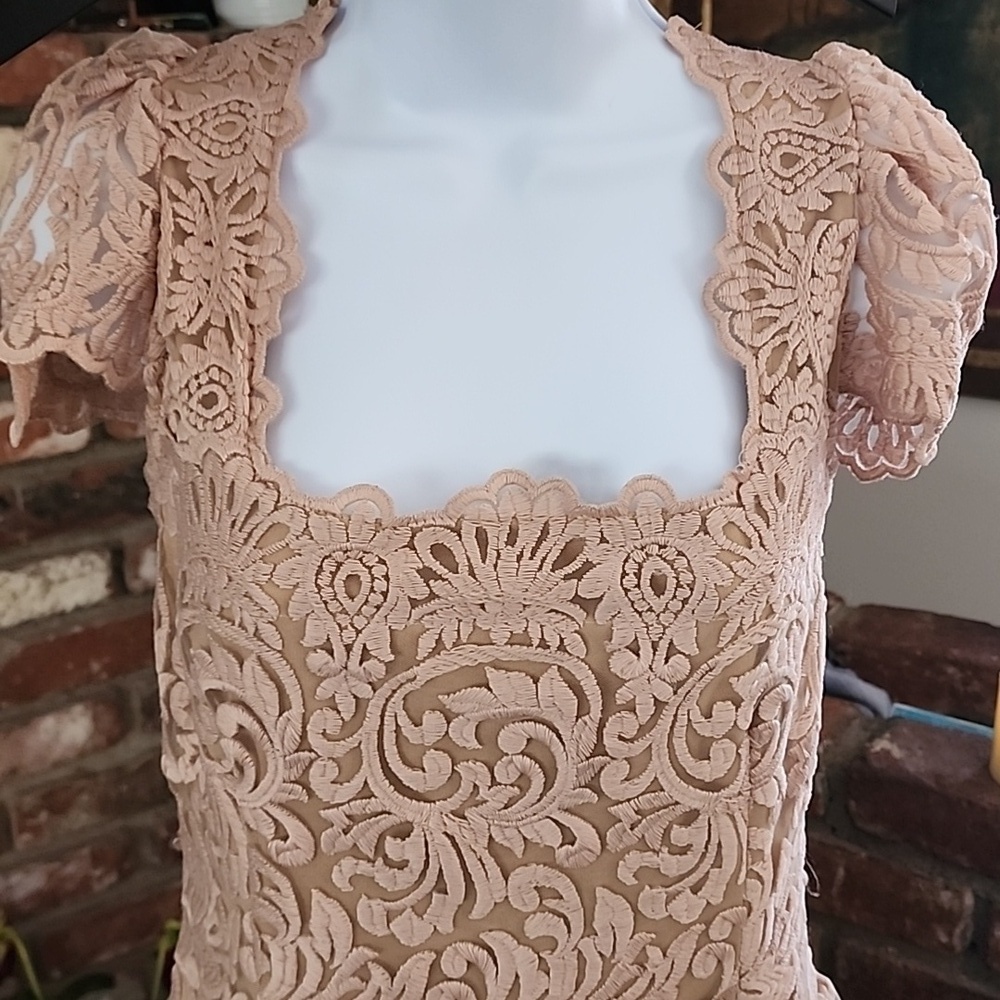 Marc Bouwer Embroidered Lace Blush Pink Midi Dress Fairycore Romantic Size L - Picture 2 of 12